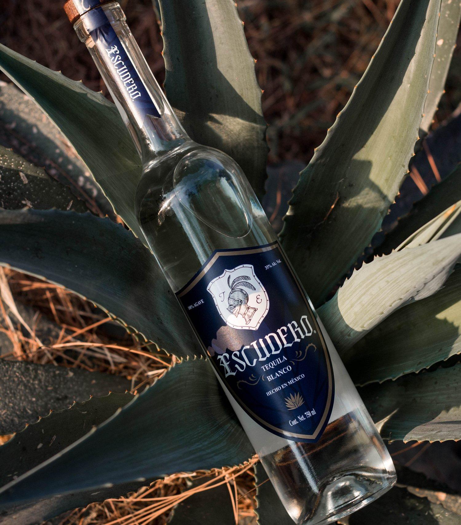 100% Agave Azul